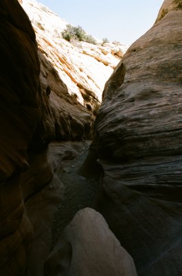 83290025s.jpg