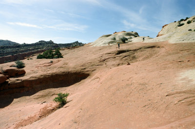 84590005s.jpg