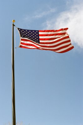 84590022s.jpg