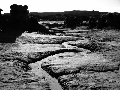 IMG_0843s_bw.jpg