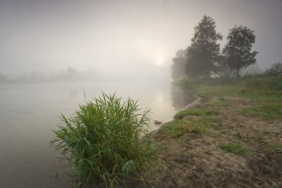 morning mist in Biejkow