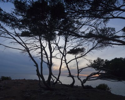 g_Panorama_1.jpg
