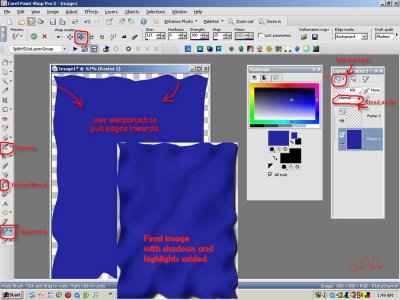 Create Fabric in PSP with Warpbrush by Anita Stanhope