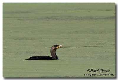 IMG_8150.jpg