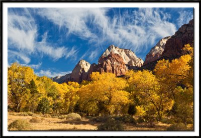 Autumn in Zion