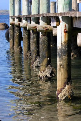 IMG_3421 800.jpg