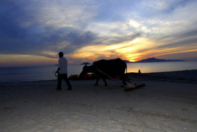 hoian02.jpg