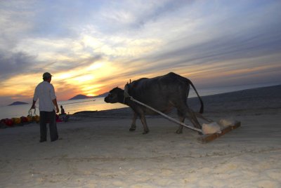hoian04.jpg