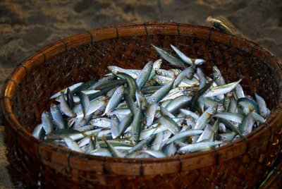hoian26.jpg