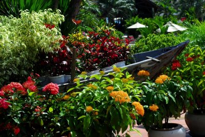 hoian54.jpg