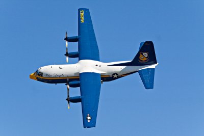 Fat Albert