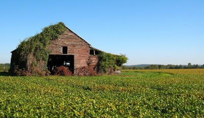 Old Farm Fredericksburg.jpg