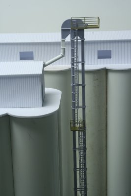 Tall Leg In Place