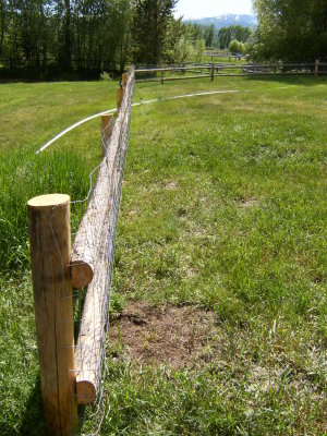 The fence