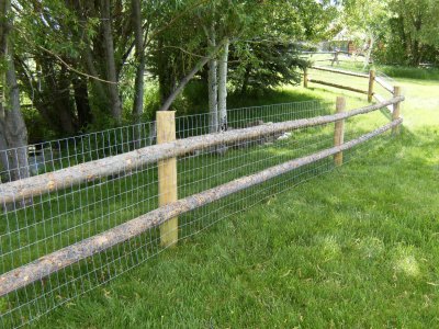 The fence