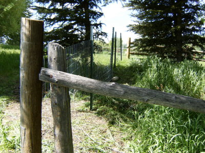 The fence