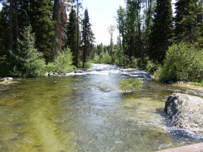 Laurance S. Rockefeller Preserve