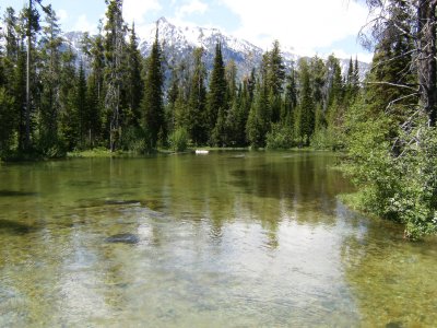 Laurance S. Rockefeller Preserve