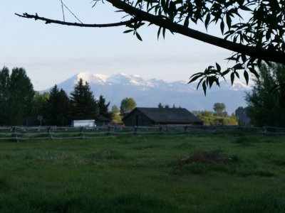 View of The Tetons from Penny's house
