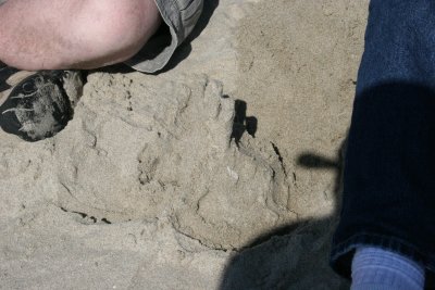 IMG_3281.JPG