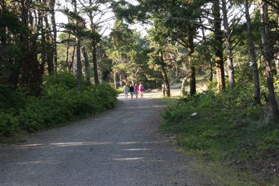 IMG_3316.JPG