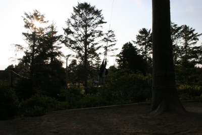 IMG_3337.JPG