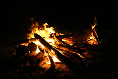 IMG_3373.JPG