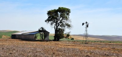abandon barn and windmill
