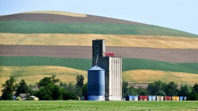 tall grain tower and horizontal landscape