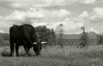 Upper Canada Village