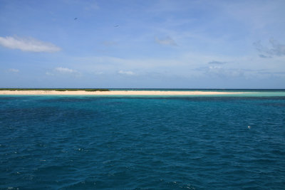 Michaelmas Cay