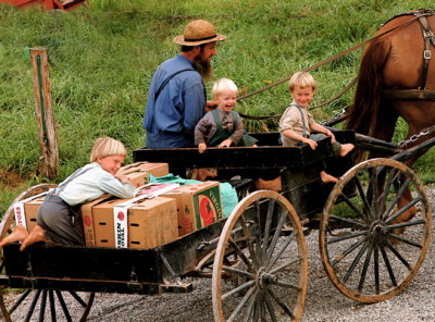 Amish Family, Tennessee