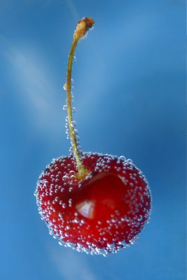 Cherry Float