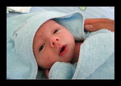 PICT0087pbase.jpg