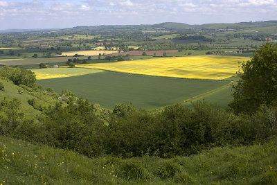 View From Hambledon Hill