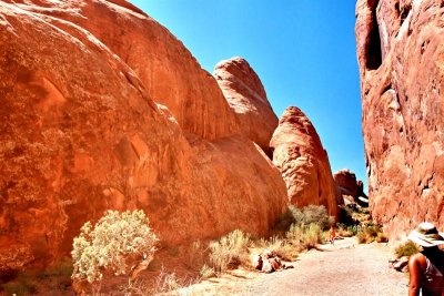 Trail to Arch IMG_6588.jpg