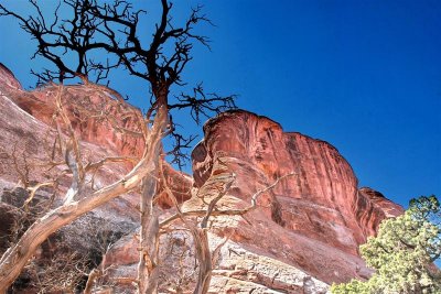 Trail to Arch IMG_6600.jpg