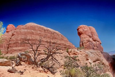 Trail to Arch IMG_6608.jpg