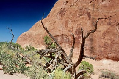 Trail to Arch IMG_6611.jpg