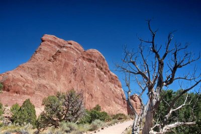 Trail to Arch IMG_6637.jpg