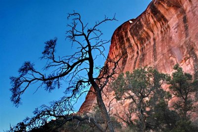Trail to Arch IMG_6645.jpg