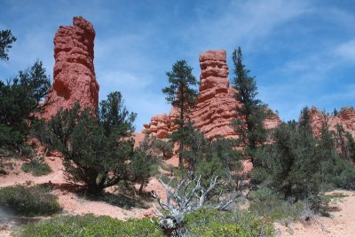 IMG_6267.JPG