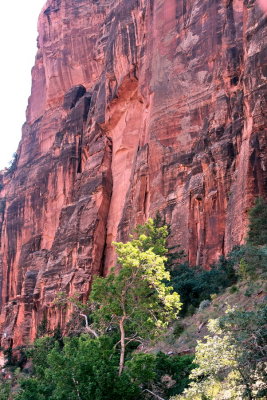 Zion Mtn  road  IMG_6063.jpg