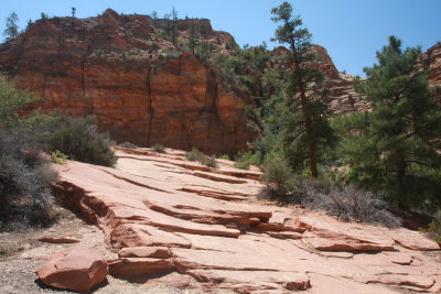 Zion Mtn road  IMG_6065.JPG