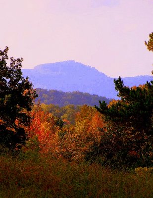 Cumberland Mountains in Fall