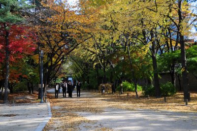 Walking path on the grounds of Deoksugung Palace