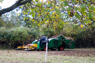 Walnut harvester