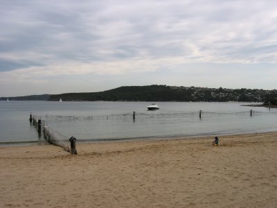 A view of Manly Beach near the Sydney Harbour. Note the nets to keep out killer jellyfish