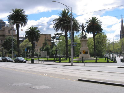 Even with Melbourne's cold temperatures palm trees find life here