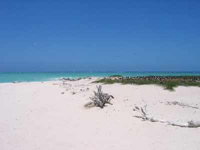 Michaelmas Cay took 5,000 years to form from the wind and water